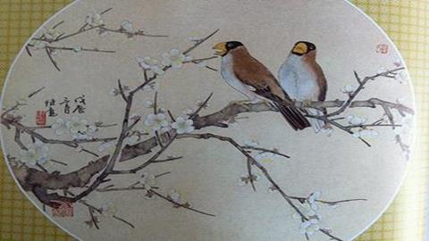 图片《工笔花卉》图片：工笔画梅花