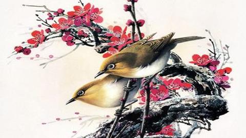 图片《工笔花卉》图片：麻雀工笔画