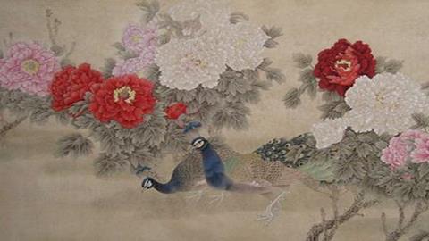 图片《工笔花卉》图片：牡丹下的孔雀