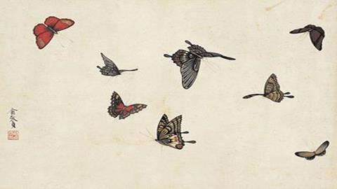 图片《工笔花卉》图片：俞致贞工笔画画廊-香蝶