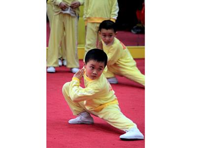 图片武术-少年武术