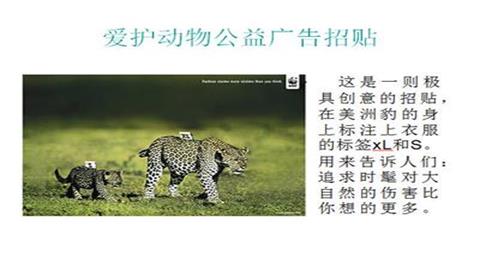 图片爱护动物招贴广告