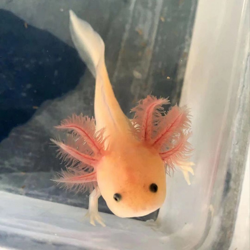 图片森林生态系统