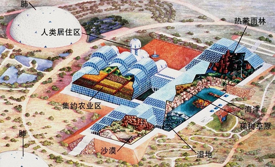图片生物圈3号基地内部