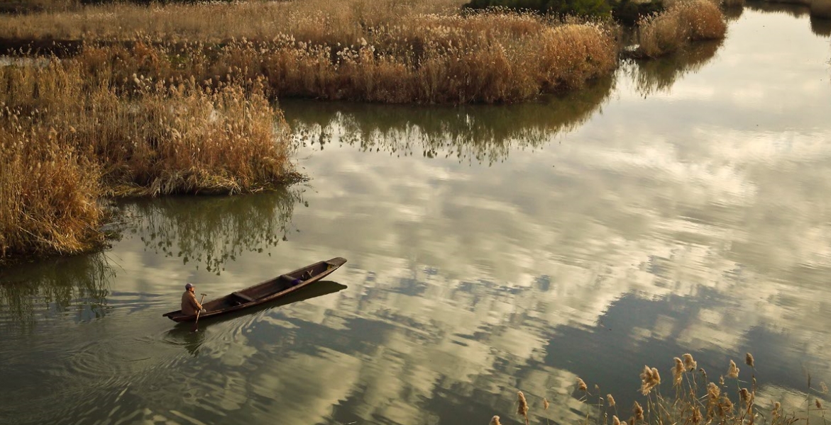 图片湿地生态系统