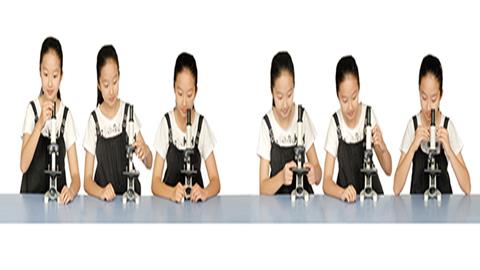 图片显微镜的使用