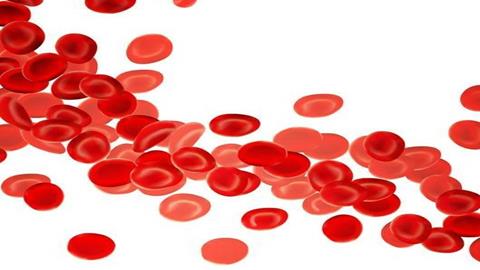 图片红细胞三维图