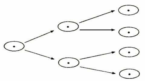 图片动物细胞分裂过程示意图