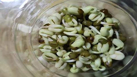 图片发豆芽