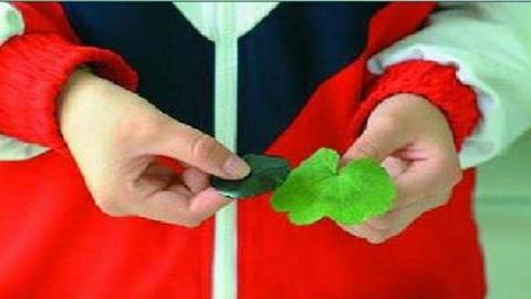 图片去掉黑纸片