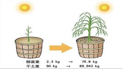 图片海尔蒙特的柳树实验