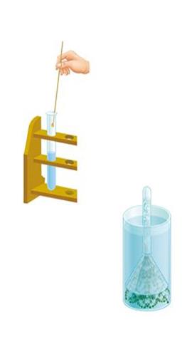 图片金鱼藻制造氧气的实验