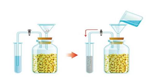 图片呼吸作用产生二氧化碳