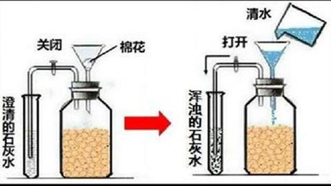 图片呼吸作用产生二氧化碳