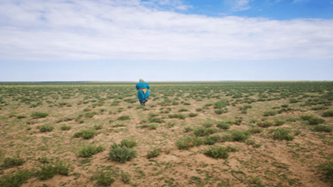 图片草场荒漠化