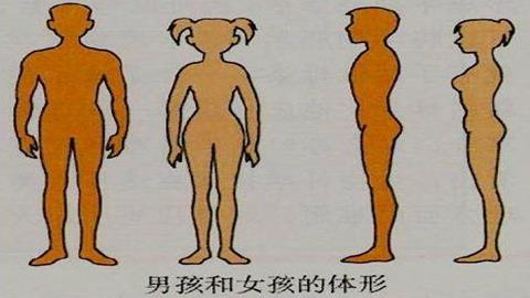 图片男孩和女孩的体形