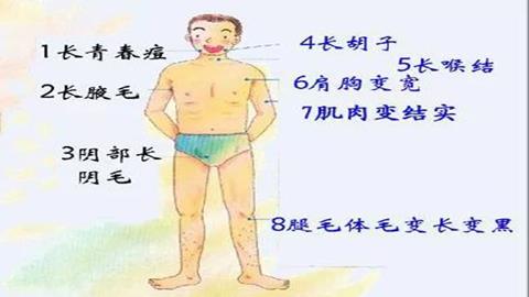 图片青春期男性身体变化