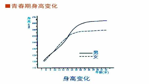 图片青春期男女身高增长曲线