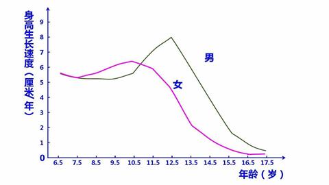 图片青春期男女身高增长曲线