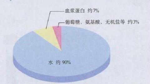 图片血浆成分示意图