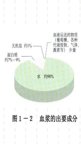 图片血浆成分示意图