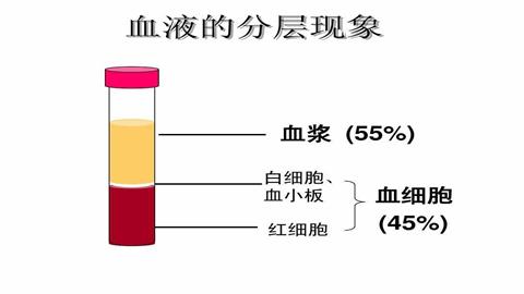 图片血液分层示意图