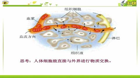 图片血液与组织细胞之间物质交换示意图