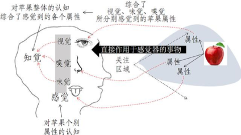 图片感觉器官
