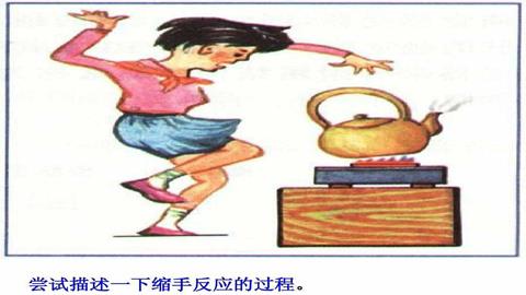 图片缩手反射