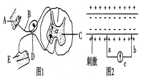 图片缩手反射