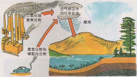 图片酸雨危害模式图
