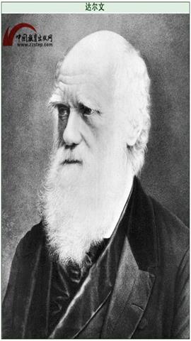 图片达尔文
