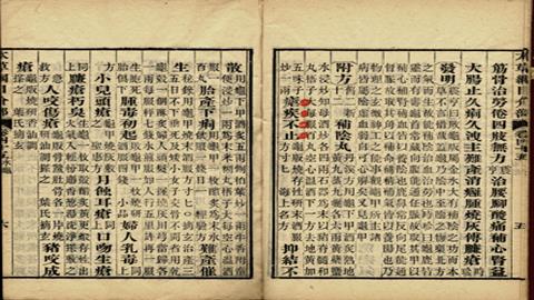 图片《本草纲目》记载败龟版可治疟疾不止