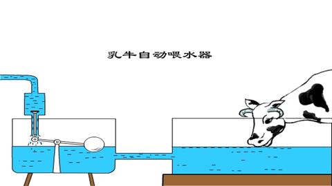 图片自动喂水器
