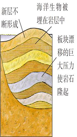 图片沉积