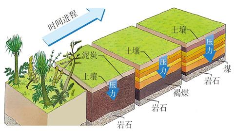 图片土壤沉积