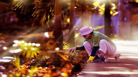 图片老师如园丁