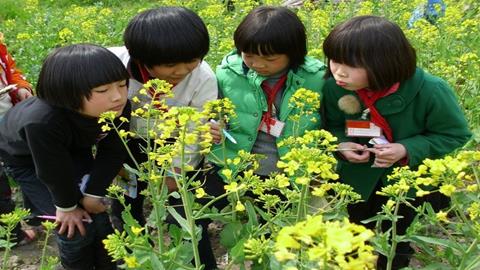 图片学生如花蕾