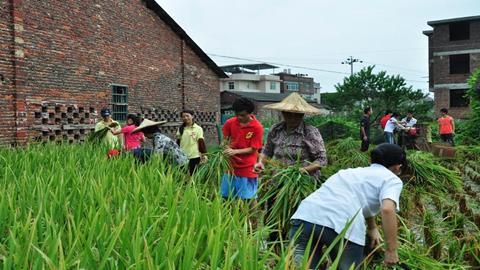图片勤劳的人民