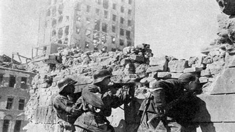 图片神圣的战争