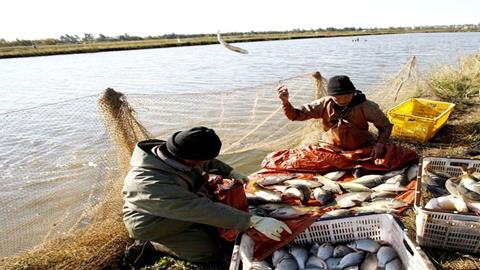 图片赫哲族人捕鱼
