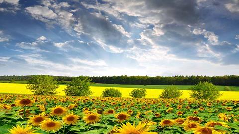 图片春天来了，万物复苏