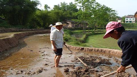 图片春天忙播种
