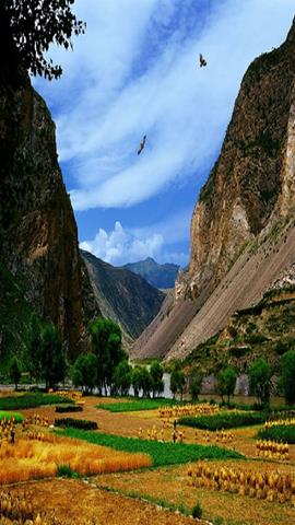 图片塔里木盆地