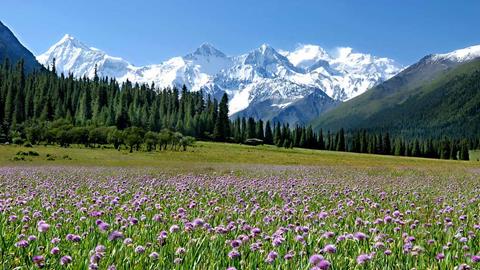 图片新疆的雪山