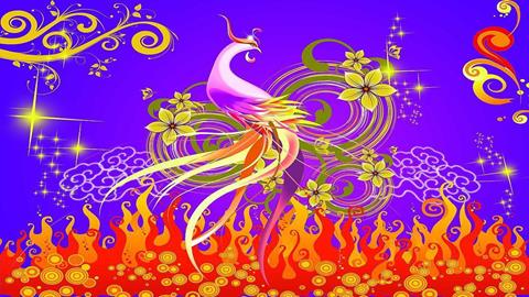 图片凤凰浴火重生