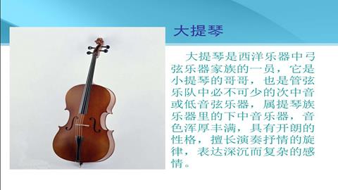 图片大提琴