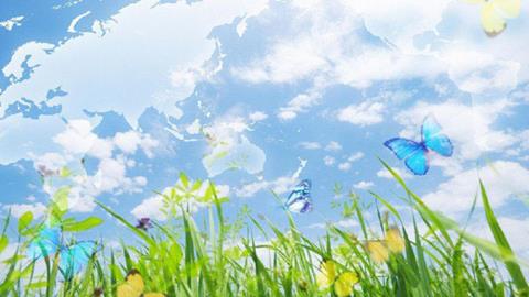 图片蝴蝶飞舞