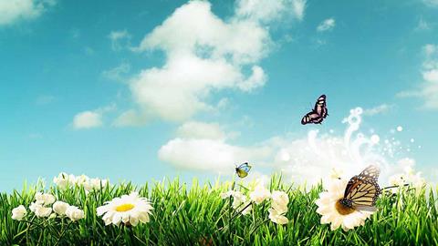 图片蝴蝶飞舞