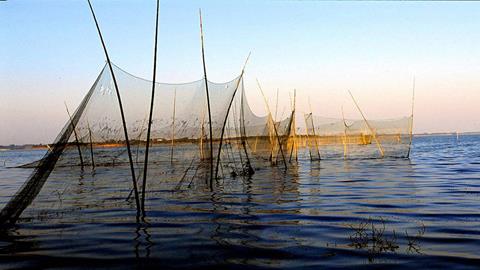 图片洞庭鱼米乡